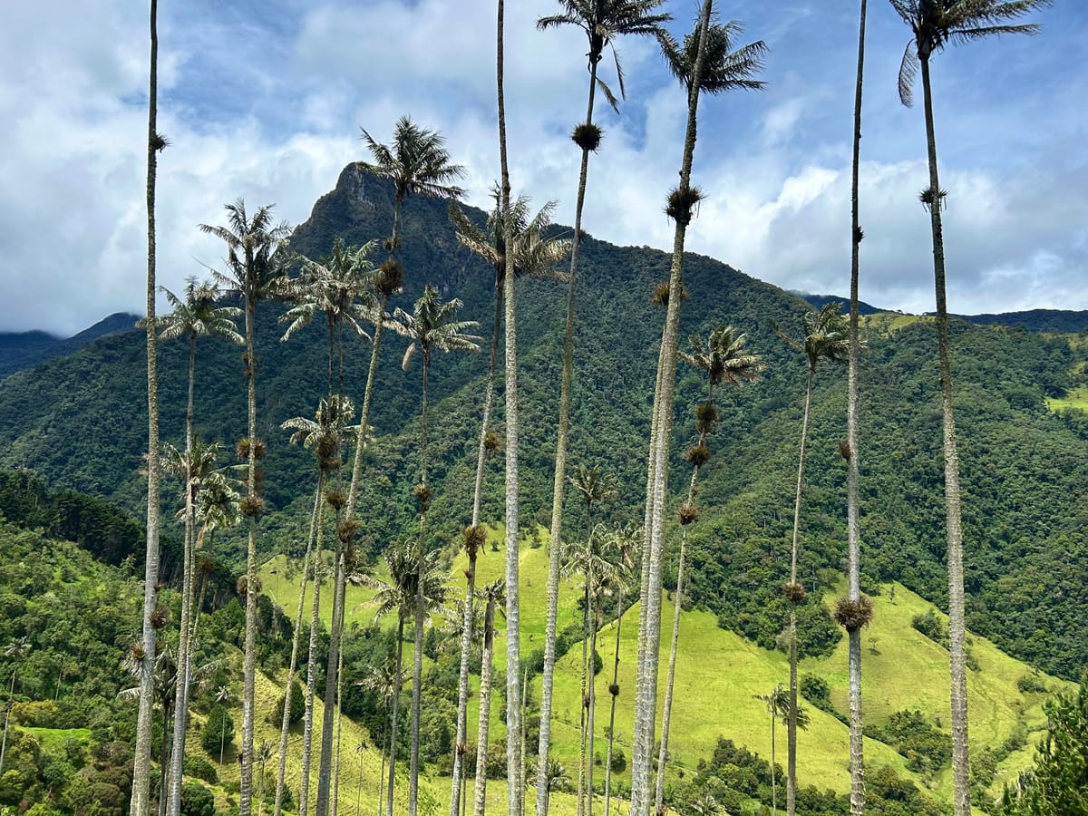 Medellín & Salento