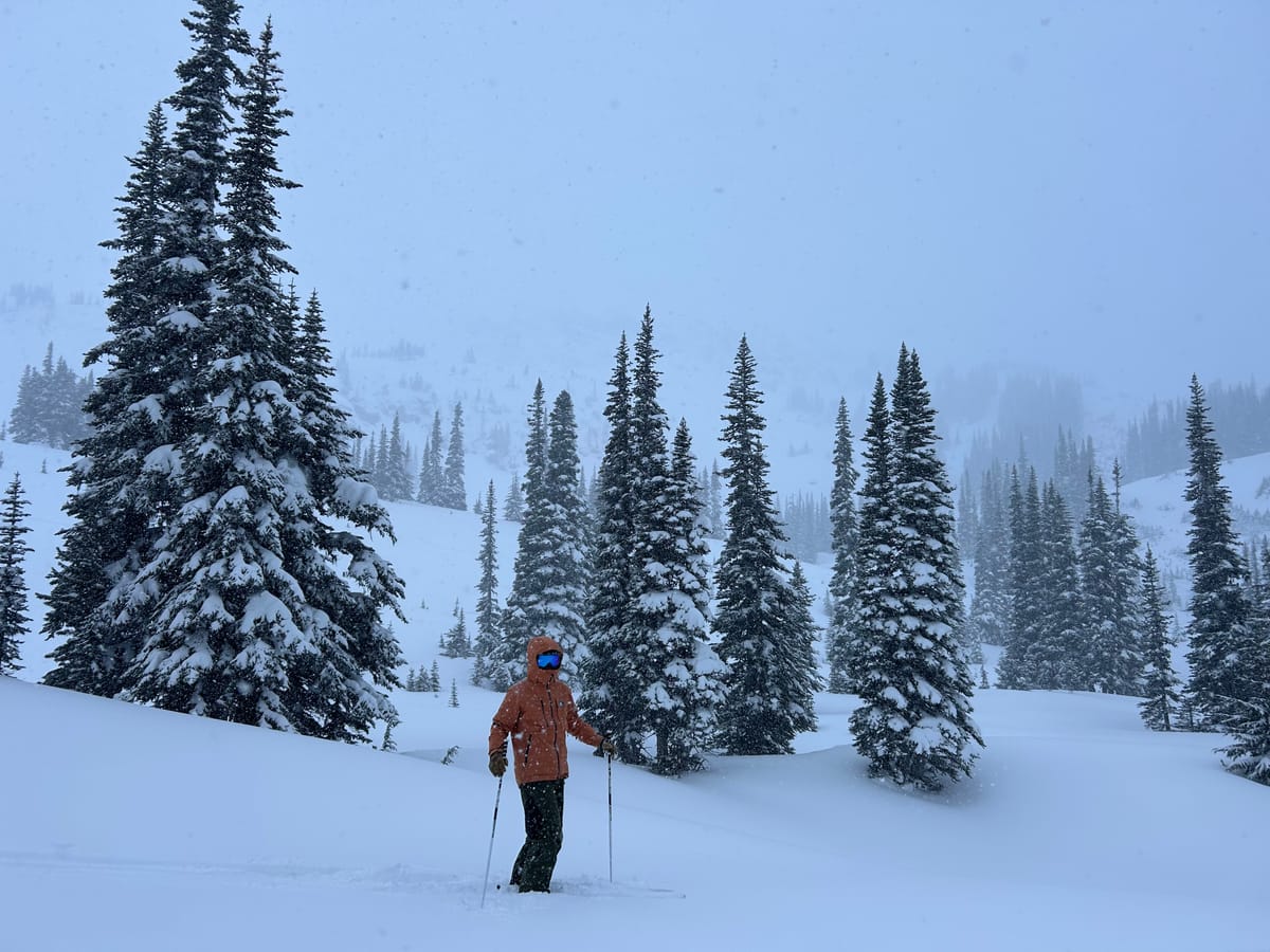 BC Winter 2025/26 Recap